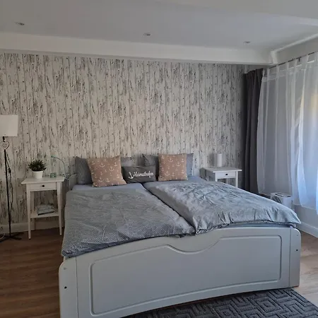 Ruhige Einzimmerwohnung アパート フレンスブルク