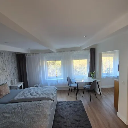 Ruhige Einzimmerwohnung