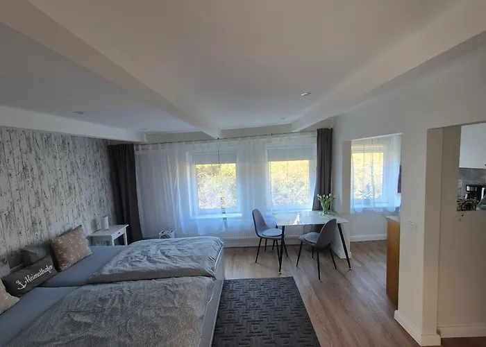 Ruhige Einzimmerwohnung