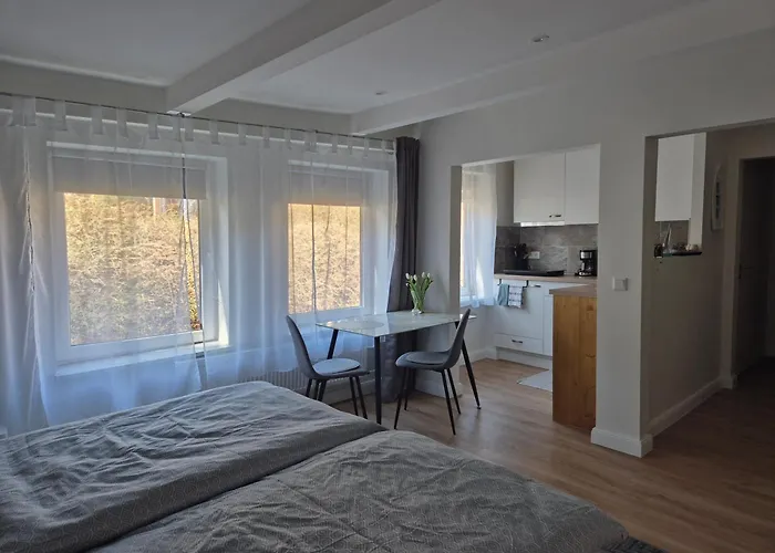 Ruhige Einzimmerwohnung * Flensburg